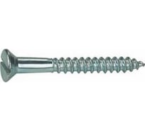 Шуруп ЦКИ DIN97 3x25, Ц, 25 шт. 5919619