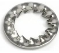 Шайба стопорная ЦКИ DIN6798 A М 5x10 зубчатая Ц 200 шт 31208