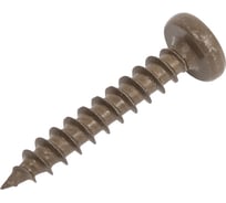 Саморез Гвозdeck Gwozdeck HR универсальный по дереву сферический окрашенный 5,0x30 Ц Pz, 500шт 20145030ECPZHR1