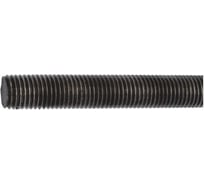 Резьбовая шпилька WR DIN976, без покрытия, сталь 10.9, M8x1000 095900008 228 1