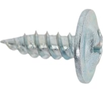 Саморез с прессшайбой НАКРЕПКО острый, 4,2x13, 1 кг 600718