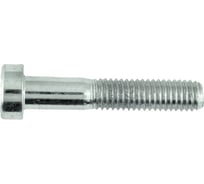 Винт ОПМ DIN 7984, М12x40 8.8 zn 100 шт. П0000017886
