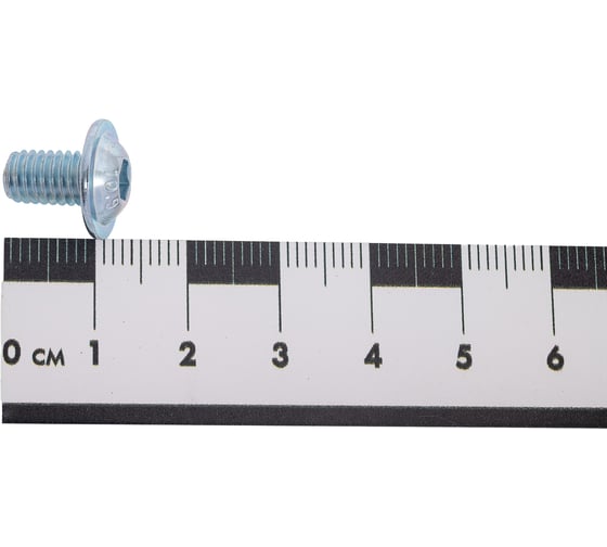 Винт ОПМ ISO 7380-2, М6x10 10.9 zn 500 шт. П0000031875
