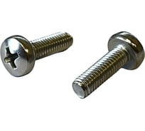 Винт ОПМ DIN 7985 М5x10 А2 500 шт 15882