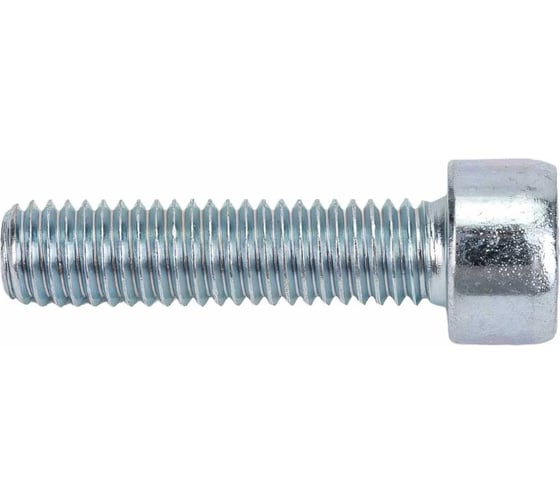 Винт ОПМ DIN 912 М10x70 8.8 zn 100 шт. П0000036260