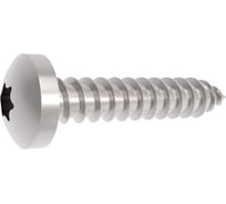 Саморез ISO 14585 C-Т 20 d4,8x38 А2 500 шт ОПМ УТ000142714