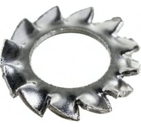 Шайба ОПМ DIN 6798 А d3x6 zn, 4000 шт. П0000007094