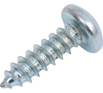 Саморез оцинкованный по металлу SORREX DIN 7981С 4,8x16 (100штук) 7981С-1-048-016 100