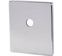 Декоративная накладка ARMADILLO на шток BK Protector/USS CP, хром 42997