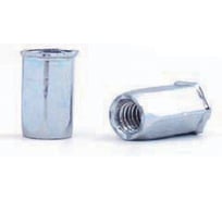 Заклепка-гайка ОПМ 110019 М4 zn, шестигр. уменьш. бурт., 100 шт УТ000030774