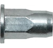 Заклепка-гайка ОПМ 110011 М8x16,0 zn, шестигранная, цилиндрический бортик 250 шт П0000033979
