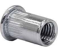 Заклепка-гайка ОПМ 110003 М4x10 А2, РИФ с умен. бортиком, 250 шт УТ000101139
