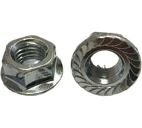 Гайка ОПМ ~ DIN 6923 М4 8 zn, c рифлением Tensilock, 1000 шт П0000019205