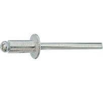 Заклепка ОПМ ~ ISO 15977 тяговая, d4,8x8 Al/St, с плоской головкой, 500 шт П0000019250