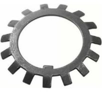 Шайба ОПМ DIN 5406 МB 25 (d125) 1 шт П0000008268