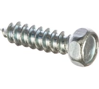 Саморез ОПМ DIN 7976 d5,5x19 zn 1000 шт 2041