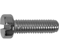 Винт ОПМ ГОСТ 1491 М 5x25 4.8 zn 500 шт. УТ000163510