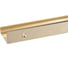 Ручка-скоба Brante RS.1007.A.800.BMSG матовое золото 658075 2