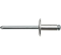 Заклепка вытяжная Fasty Ал/Ст 4,8x12 мм, шир. бортик 14 мм, 250 шт. 01030004812AM