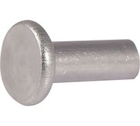 Заклепка ОПМ ГОСТ 12642-80 исп.2, d5x50, 1 кг УТ000152236