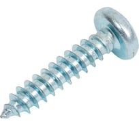 Саморез ZAMETAL 5,5х25 с полукруг. гол., крест. шлиц, DIN 7981, оц., 250 шт ZA101890