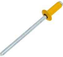 Заклепка вытяжная SORREX цветная алюминий/сталь 3,2x8 RAL 1004 Жёлто-золотой OY 500 штук 2ASD 32800 RAL 1004 500