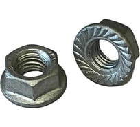 Гайка ОПМ DIN 6923 М12 8 flZnnc-480h, c рифлением, 100 шт. УТ000141428