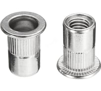 Заклепка-гайка ОПМ 110015 М6x14,0 zn, цилиндр. бортиком РИФ, 1000 шт. УТ000115737