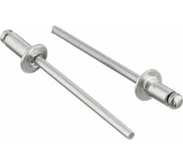 Заклепка ОПМ ISO 15979 тяговая, d4,8x10 St/St с плоской головкой, 500 шт. 00000000968
