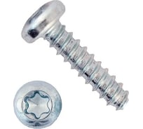 Саморез ОПМ 106090 Torx, d3,0x10, zn, 400 HV, по пластику, 100 шт. УТ000096450