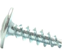 Саморез ОПМ 106003 по термопластам, d4,0x30 мм, zn, с п/круг головой и прессшайбой, 100 шт. УТ000147654