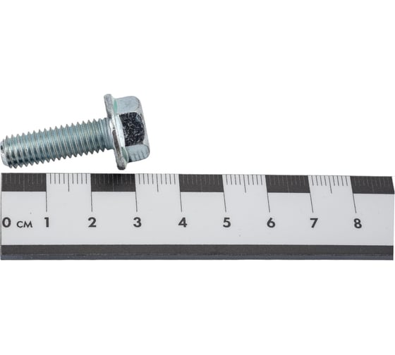 Болт с фланцем ZAMETAL 8x25 пр. 10.9, DIN 6921, оц., с насеч. 250 шт ZA082648
