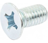 Винт ZAMETAL М6х12 потайн. гол., DIN 965, оц., 500 шт ZA513625