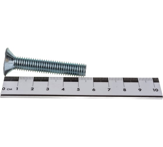 Винт ZAMETAL М10х55 пр. 8.8, с пот. гол., в/ш, DIN 7991, оц., 100 шт ZA516176