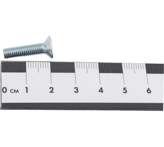 Винт ZAMETAL М5х20 пр. 8.8, с пот. гол., в/ш, DIN 7991, оц., 500 шт ZA515643