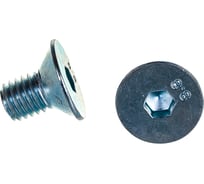 Винт ZAMETAL М10х16 пр. 8.8, с пот. гол., в/ш, DIN 7991, оц., 200 шт ZA516084
