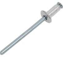 Заклепка лепестковая вытяжная SORREX алюм/сталь 4x8 OY (100штук) ASD 00800 PE 100