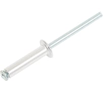 Заклепка вытяжная лепестковая SORREX распорная металл алюминий/сталь 4,8x20 OY (500штук) ASD 82000 PE 500