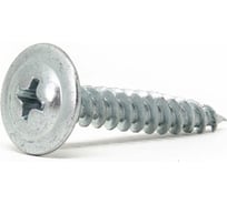 Саморез ОПМ 206041-1 4,2x51 ШСММ ПолуСфера бцв.хр. 750 шт 6654