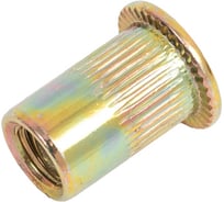 Заклепка гайка резьбовая винтовая SORREX стандартный бортик с рифлением М6x15 (100 штук) PZW M6 100