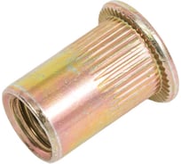 Заклепка гайка резьбовая винтовая SORREX стандартный бортик с рифлением М8x17 (100 штук) PZW M8 100