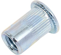 Заклепка гайка резьбовая винтовая SORREX стандартный бортик с рифлением М6x15 (100 штук) PZW-W M6 100