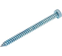 Саморез ЦКИ DIN7976 4.2x50 остроконечный, цинк, SW7, 25 шт. 166100733