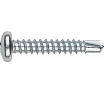 Саморез ЦКИ DIN7504-M JP81 4.2x25 сверлоконечный, A2, PH2, 15 шт. 648890733