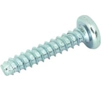 Саморез ЦКИ DIN7981 2.9x16 притупленный, A2, PH1, 25 шт. 730010733