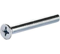 Винт с потайной головкой ВИРТУОЗ DIN965 6 х 20, 10 шт 21885