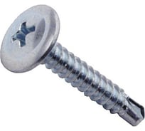 Саморезы ВИРТУОЗ 4,2х41 полусферическая головка с прессшайбой, цинк, сверло, 250 шт 550-23254