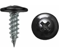 Саморез с прессшайбой Rizzel ПШ 4,2х19, RAL 9005, 1000 шт. 00000309471