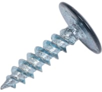 Саморез с прессшайбой Rizzel ПШ 4,2х16, RAL 7016, 1000 шт. 00000331843