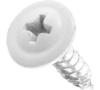 Саморез с прессшайбой Rizzel ПШ 4,2х13, RAL 9003, 1000 шт. 00000310034